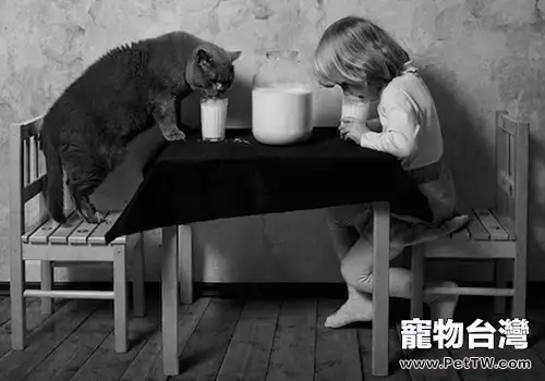 對於貓咪要定期吃體內驅蟲藥你怎麼看（1圖）-寵物台灣