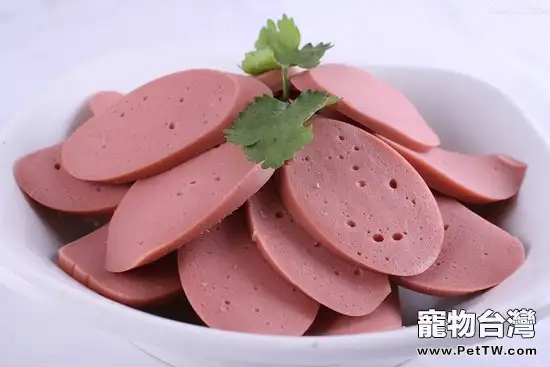 貓咪絕對不可以吃火腿腸