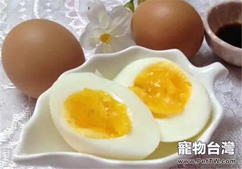 貓咪美毛之家庭自我解決法