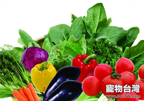 貓咪美毛之家庭自我解決法