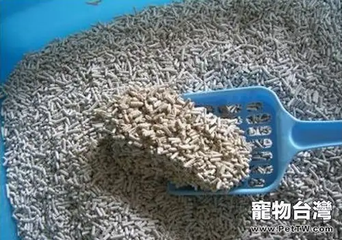 如何挑選貓砂