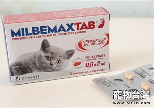 貓咪體內外驅蟲小知識