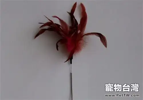 教你手工自製貓咪的新年禮物