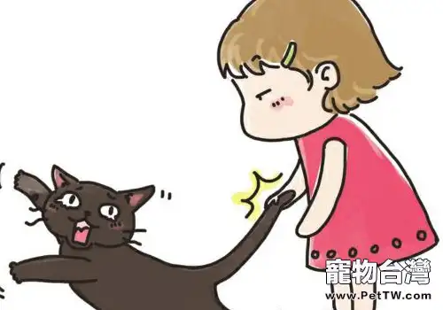 與貓咪相處的錯誤行為
