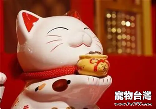 日本貓島為什麼有那麼多貓？