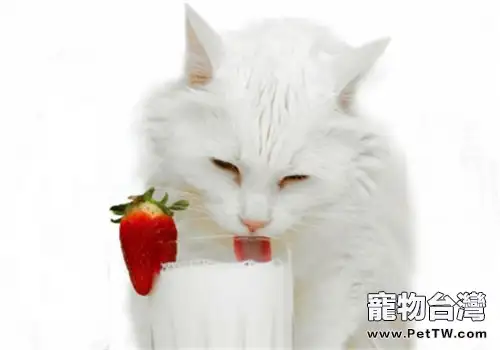 貓咪喝牛奶腹瀉怎麼辦？（共2張圖片）-寵物台灣