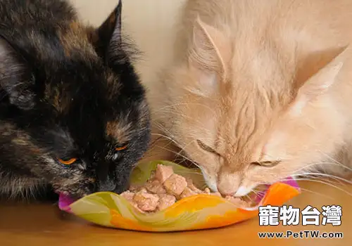 酸化食品對貓咪有什麼好處