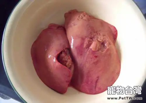 貓咪吃雞肝好嗎？