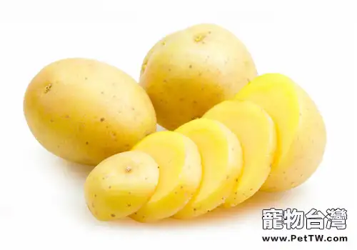 【美食攻略】自製貓咪美味妙鮮包