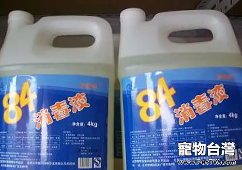 養貓誤區之慎用消毒液 養貓誤區之慎用消毒液