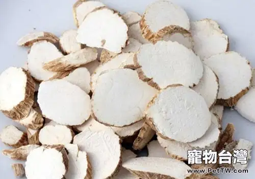中醫治貓病之解表藥(共2張圖片)-寵物台灣
