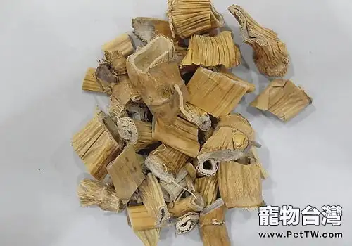 適合貓咪清熱解毒的中藥