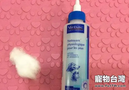 在家給貓咪清理眼睛的具體方法與步驟
