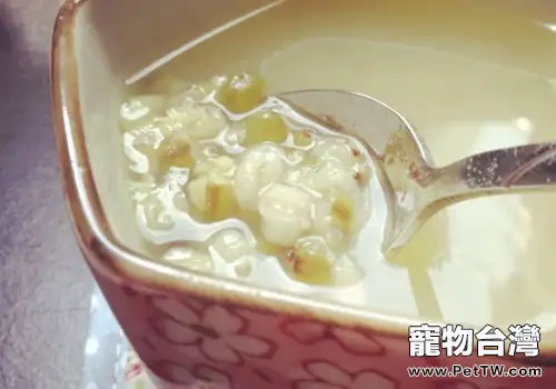 【美食攻略】自製貓咪解暑綠豆湯