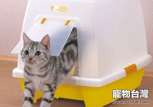 如何訓練貓咪使用洗手間