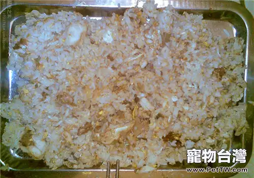 【美食攻略】適合給流浪貓的簡單食物