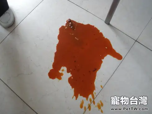 貓病毒性腸炎的診斷與治療