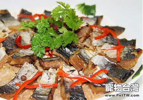 【美食攻略】自製貓咪鱍魚雞肉飯