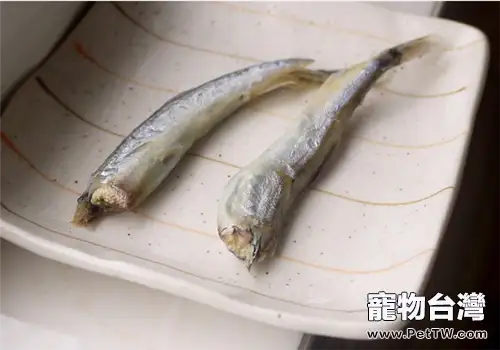 【美食攻略】自製貓咪水煮魚