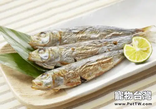 【美食攻略】自製貓咪香米雞絲小魚乾