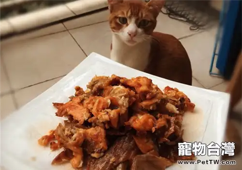 【美食攻略】自製貓咪零食之香烤三文魚皮
