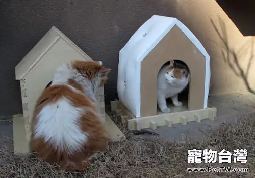 給貓咪眾籌一個大房子？（共2張圖片）-寵物台灣