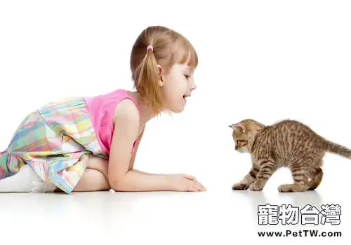 貓咪為什麼和人親近？