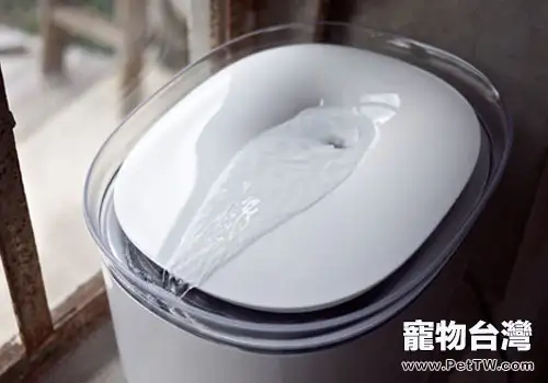 冬天如何讓貓咪盡情喝水