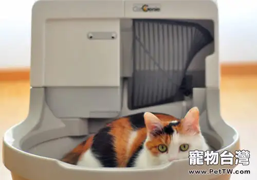 新型貓砂盆：貓咪的豪華馬桶？