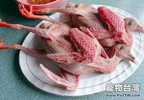 【美食攻略】自製貓咪的鴿子牛肉南瓜飯