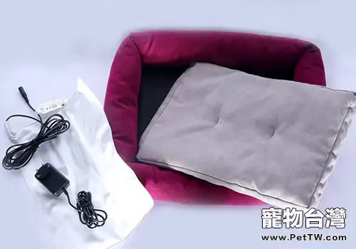 愛貓必備的寵物用品有哪些？
