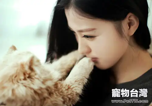 貓咪偏愛女性?(共2張圖片)-寵物台灣