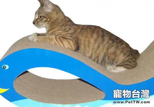 如何讓貓使用貓抓板