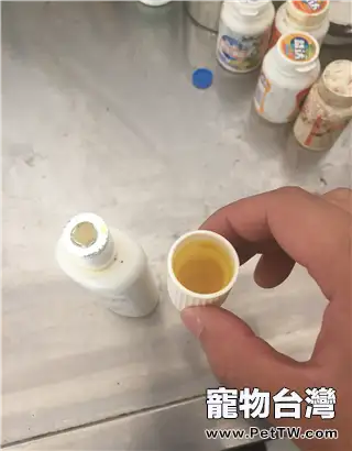 貓子宮套疊的治療