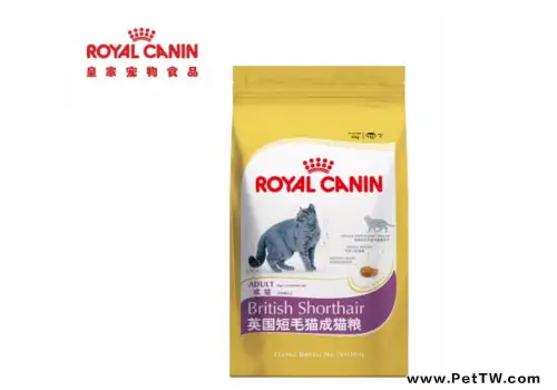 英短貓糧怎麼選擇？（1圖）-寵物台灣