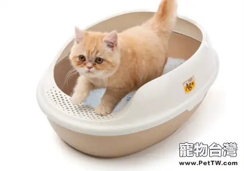 減少貓廁所臭味的小妙招(1圖)-寵物台灣