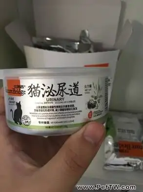 雄性藍貓的尿道造口手術