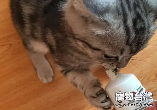 給貓咪使用化毛膏的一些注意事項（1圖）-寵物台灣