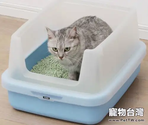 你的貓砂盆放對地方了嗎