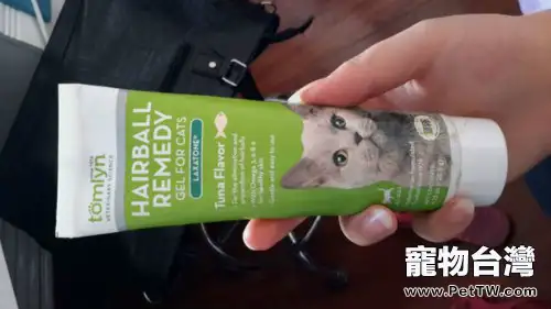 貓咪使用化毛膏需要注意什麼