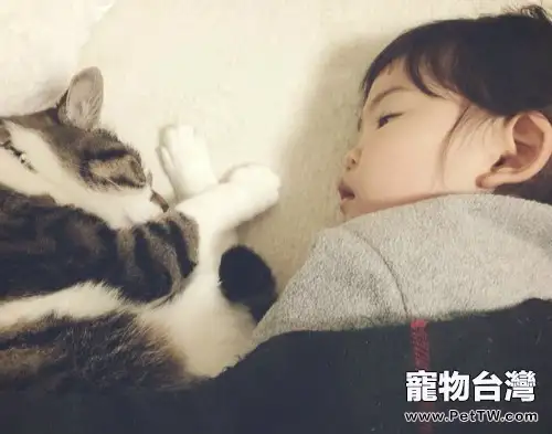和貓咪一起睡好嗎