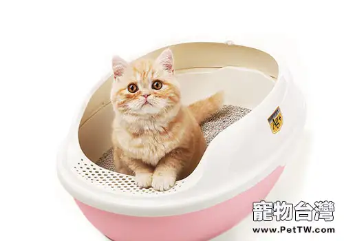 不同種類的貓砂該怎麼清理?(1圖)-寵物台灣