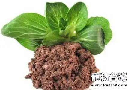 貓咪吃乾糧好還是吃濕糧好以及有何區別