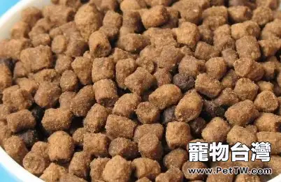 貓咪吃乾糧好還是吃濕糧好以及有何區別(共2張圖片)-寵物台灣