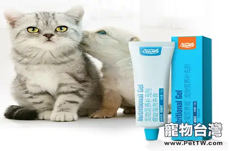 讓貓咪發腮，需要多久喂一次WOWO貓咪營養膏？