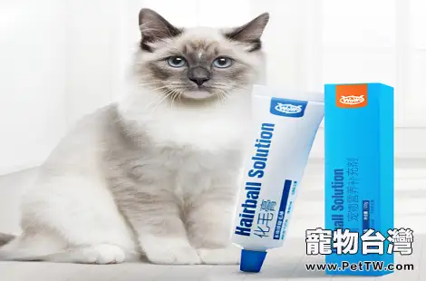 貓咪多大可以吃WOWO化毛膏？
