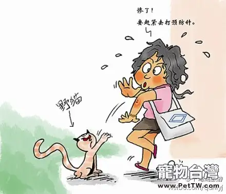 被貓狗咬傷怎麼辦被狗、貓咬傷、抓傷，怎麼辦？