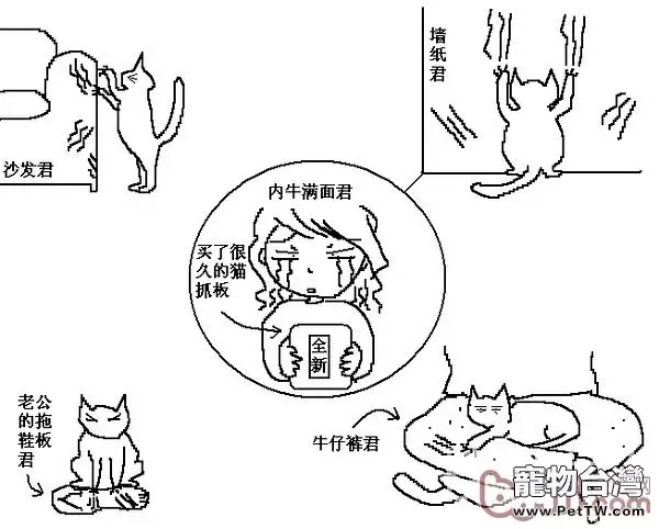 貓咪行為圖解-養過貓的都懂 (共19張圖片)-寵物台灣