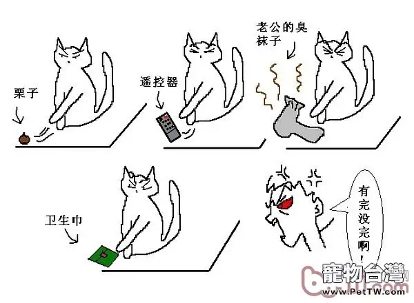 貓咪行為圖解:養過貓的都懂 