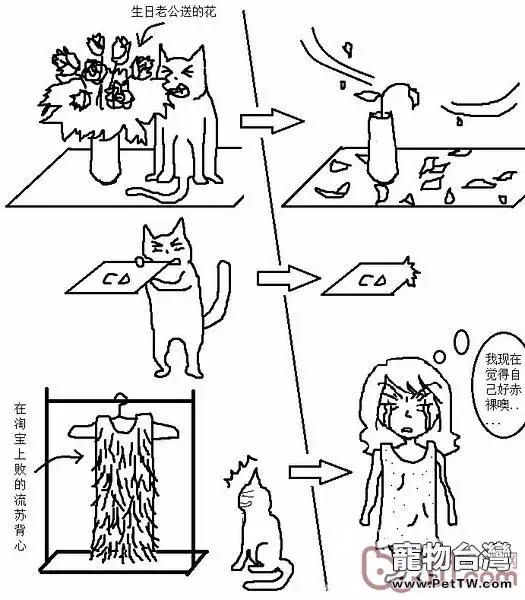 貓咪行為圖解:養過貓的都懂 
